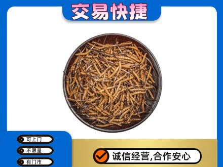 北海海城区礼品回收虫草.jpg